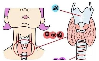 �נ��ٮ������²���